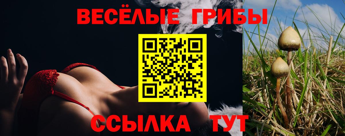 Галлюциногенные грибы Cubensis Алатырь