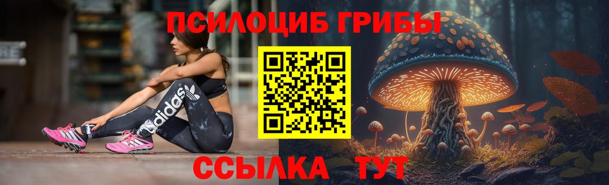 Галлюциногенные грибы GOLDEN TEACHER  Вход с VPN  Алатырь 