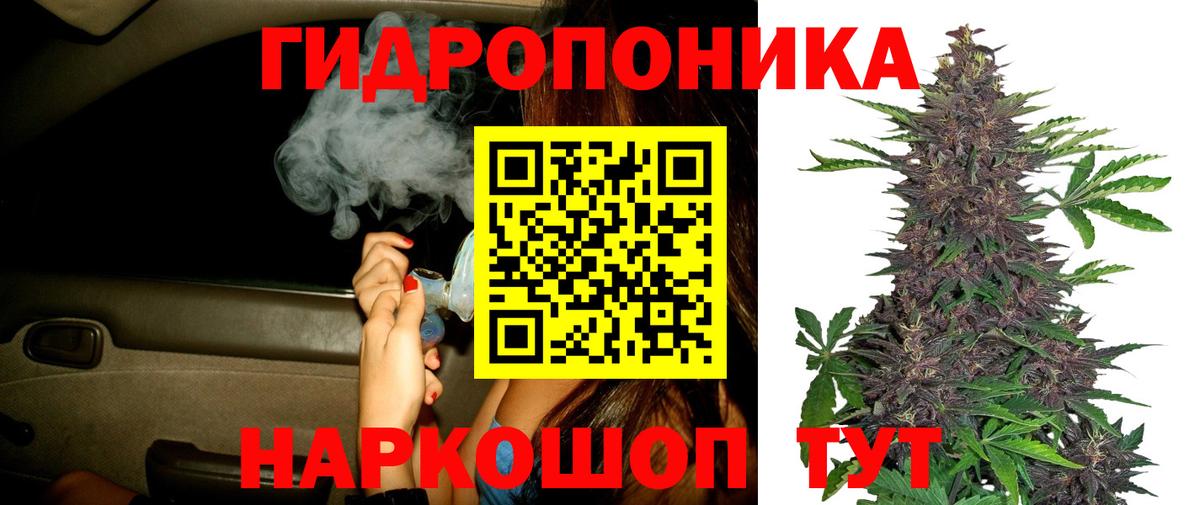 Бошки марихуана AK-47  Бошки марихуана OG Kush  Алатырь  Бошки марихуана White Widow  Бошки марихуана White Widow  Вход с VPN 